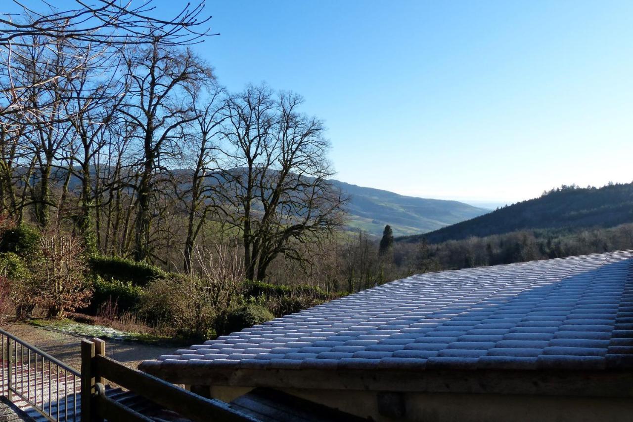 Gite Du Hameau D'Amignie Vernay Экстерьер фото